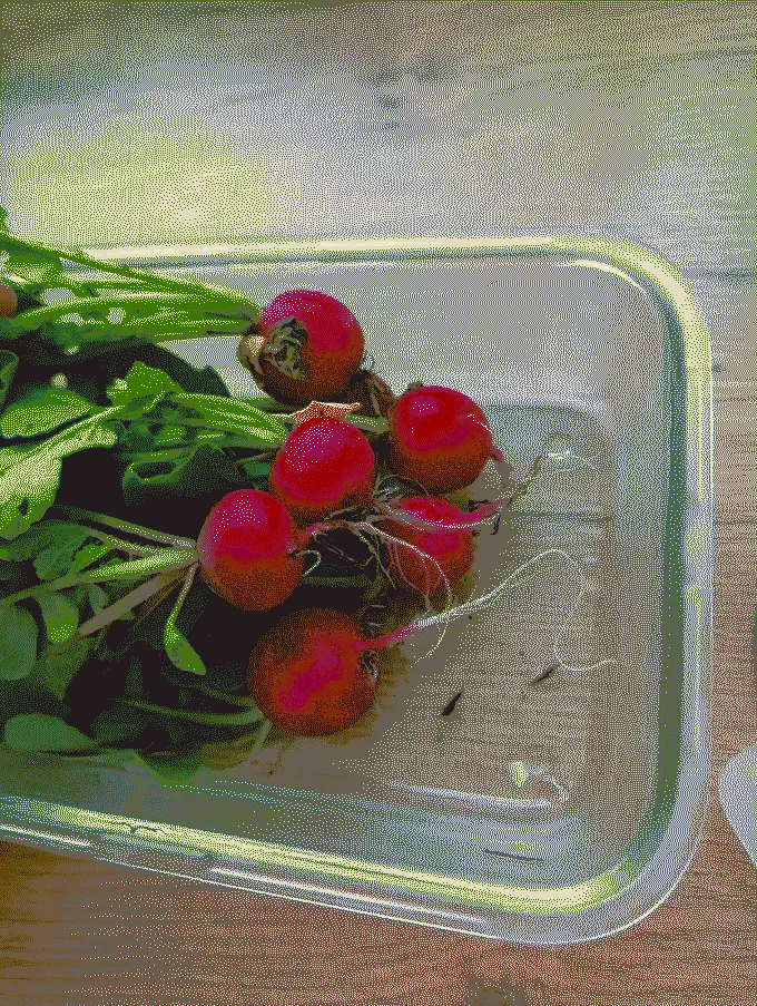 
              A handful of radishes in a glass container
            