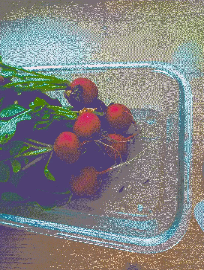 
              A handful of radishes in a glass container
            