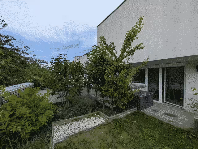 Our garden in august, full of trees and possibilities